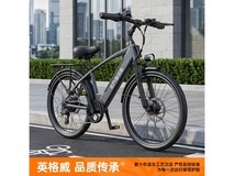 纯电助力双模电动自行车