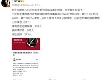小米公布车主遭网暴援助进展:6032人登记,480人提交证据