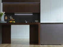 头部效应明显!53.9%用户冷柜选海尔