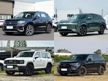 30万内插电混动SUV海选:五款实力车型全面对比