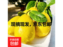 广东香水黄柠6颗京东包邮,单果65g+到手仅3.98元
