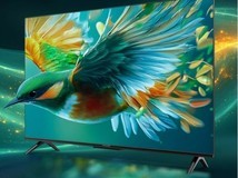 雷鸟55F295C雀5 55英寸电视1199元超值抢购