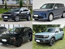 30万内选中大型SUV?五款实力座驾满足多元生活需求