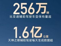 256万 +用户共同选择,比亚迪辅助驾驶跑出加速度