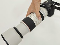 翎羽凝光 佳能EOS R5 Mark II生态摄影深度体验