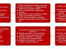 MLGO微算法科技基于自旋纠缠与光子交换的主观体验动力学假设