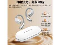 魔声AC317挂耳式耳机领券到手仅45元