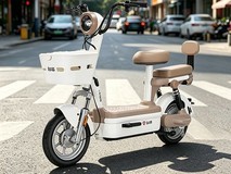 台铃大果粒电动车活动价低至1753元