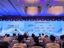 中国数据库市场:规模596.17亿元,国产厂商数量显著收缩