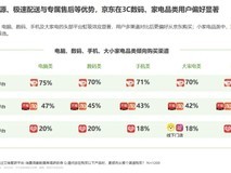 艾瑞双11报告:京东家电份额领跑行业,成70%消费者买大家电首选