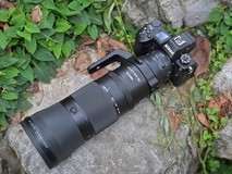 尼康 Z6III 的高像素和高速连拍能否满足生态摄影需求?