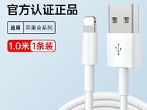 iPhone/ iPad正品PD快充线