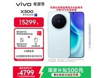 vivo X300 16GB+512GB自在蓝京东优惠购
