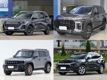 20万内7座SUV怎么选?四款实力派车型真实对比