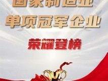 元征科技入选“第九批国家制造业单项冠军企业”名单
