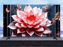 罗永浩吐槽智能电视适老化缺失,夏普推专为老人优化新品