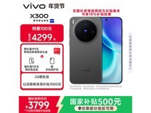 vivo X300 12+256G 纯粹黑版低至3477元