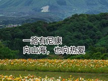 一路有尼康,向山海,也向热爱