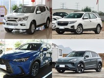 30万内中型SUV四选一:从硬派越野到智能电动,真实场景下的最优解