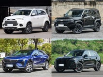 30万内四款实力派中型SUV对比:从硬派柴油到智驾纯电,选车不纠结