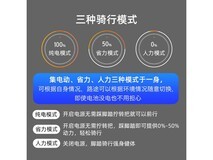 凤凰锂电池电动车非折叠款TDT101Z限时特惠