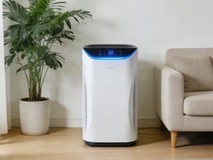 2026年空气净化器排名前十的品牌奉上,揭秘不可错过热门家用款品牌