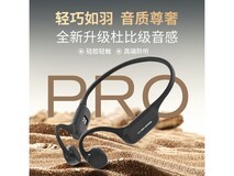 园世YuanSBetaPro骨传导蓝牙耳机黑色款限时特惠313元