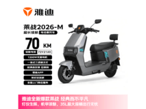 雅迪莱战2026 - M索罗灰款京东低价促