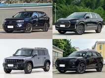 20ÍòÄÚ7×ùSUVÐÂÑ¡Ôñ£ºËÄ¿îʵÁ¦³µÐÍÂú×ãÈ«¼Ò³öÐÐÐèÇó