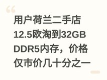用户荷兰二手店12.5欧淘到32GB DDR5内存,价格仅市价几十分之一