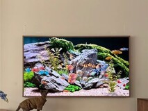 2026 年高端电视选购指南:创维电视领衔高性价比之选