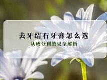 去牙结石牙膏怎么选?2026热门软化结石牙膏横评:从成分到效果全解析
