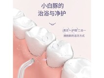博皓5012冲牙器直降163元