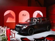 宝马发布X5马年限量版:专供中国,敦煌神马刺绣+轻混动力