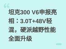 坦克300 V6申报亮相:3.0T+48V轻混,硬派越野性能全面升级