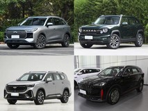 20万元内实力派汽油中型SUV五车横评:瑞虎8、大狗PLUS、豪越L等谁更值得选