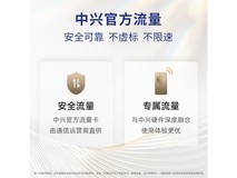 中兴5G便携热点冰川银款
