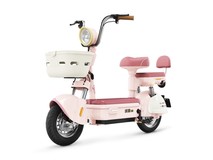 绿源新国标电动自行车FBQ6卡乐09限时特惠2199元