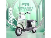 绿源电动自行车ZOF限时优惠价2799元