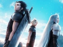 SE项目终止或牵连厂商:预期收入骤降的重大影响分析