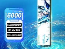 铭瑄DDR5内存条活动价低至961元