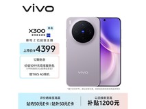 vivo X300 5G惬意紫限时抢