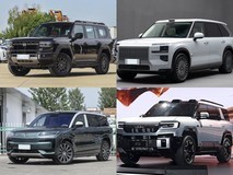 五百万预算内6座插混SUV大比拼:纵横、极氪、腾势、豹8谁更胜一筹?