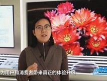 买高端电视前的灵魂一问:这台大几万的电视,画质能撑几年?