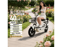 驰小虎吉祥虎电动自行车低至962元