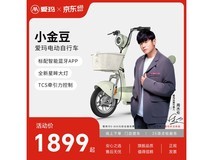 爱玛小金豆电动自行车限时特惠