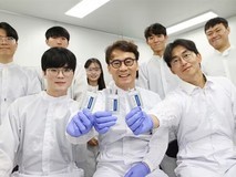 韩科院联合LG新能源研发新型锂金属电池电解质,突破枝晶难题