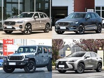 100万内插电混动中型SUV四选一:豪华与实用的平衡之道