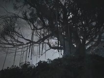 Project Rabbit公布:暗黑童话风类魂+撤离新作