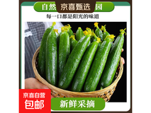东东买菜山东水果黄瓜带箱2斤,满减后2.99元!